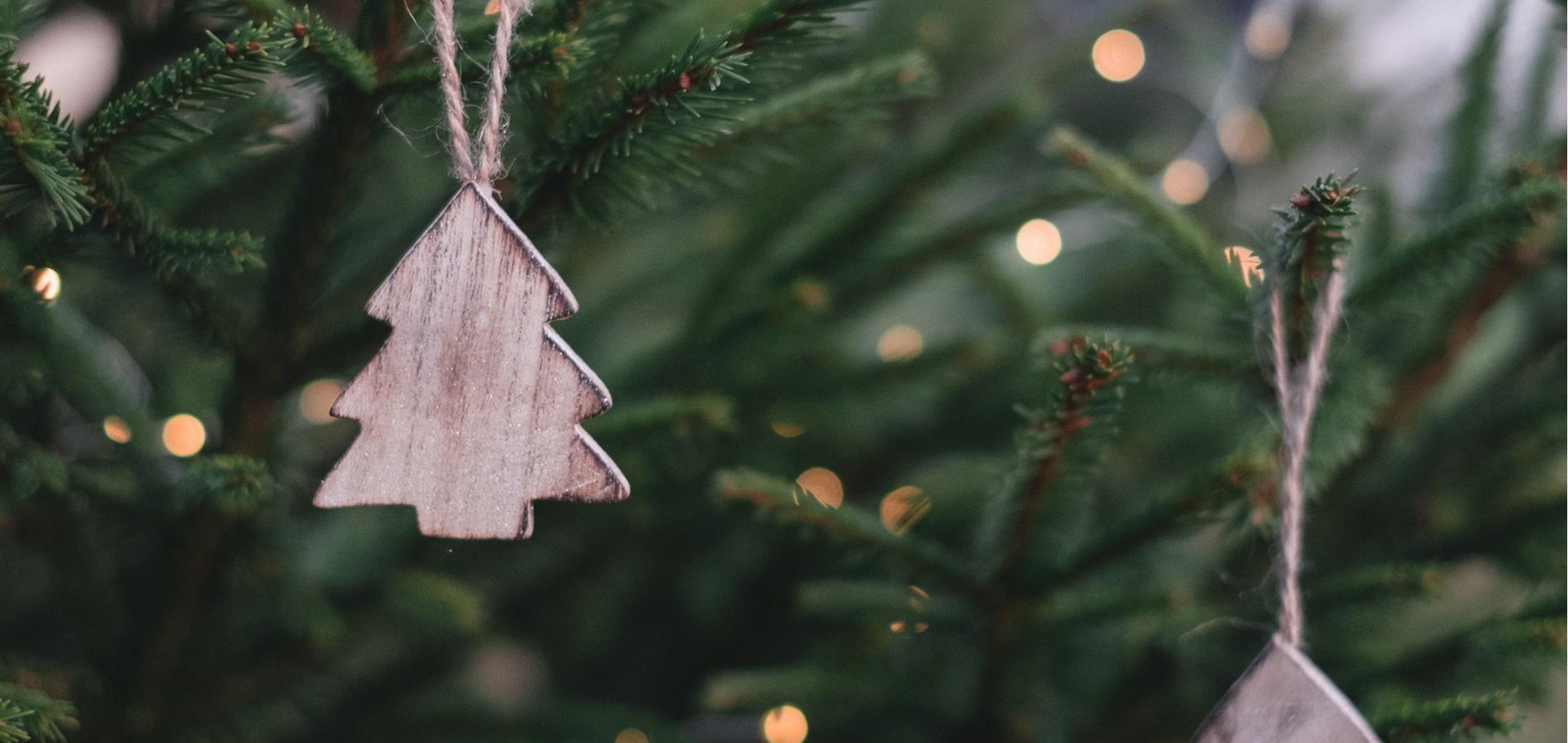 pexels-freestocksorg-704219