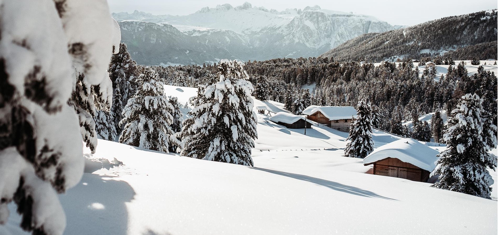 hotel-flora-villanderer-alm-c-tobias-kaser-photography-7