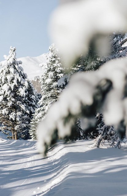 hotelflora-winterlandschaft
